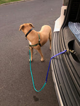 Multi-Way Waterproof Leash: Neon Pink + Neon Yellow + Black