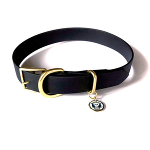 Waterproof Buckle Collar : Black + Brass