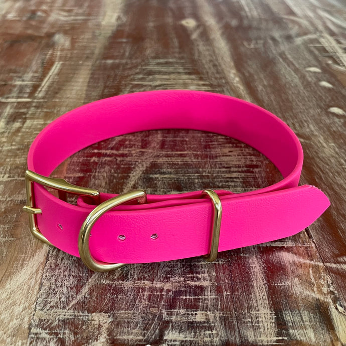 Waterproof Buckle Collar : Neon Pink + Brass
